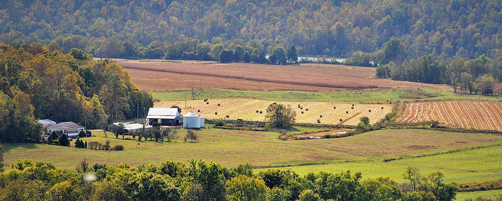 Agriculture Loans image