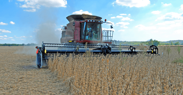 combine-harvesting-wheat combine harvesting wheat