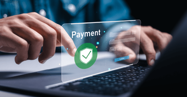 person-making-payment-online person making payment online